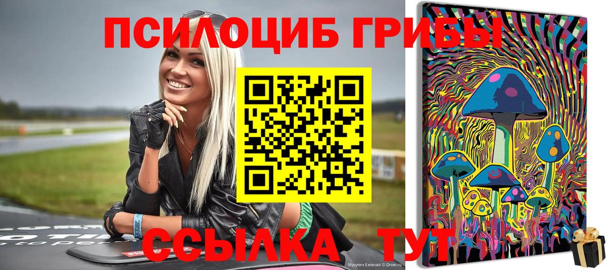 Галлюциногенные грибы GOLDEN TEACHER Камышин