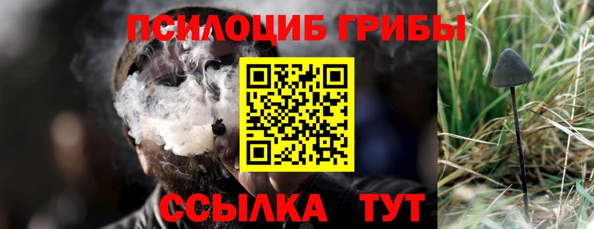 Галлюциногенные грибы Psilocybine cubensis  Вход с VPN  Камышин 